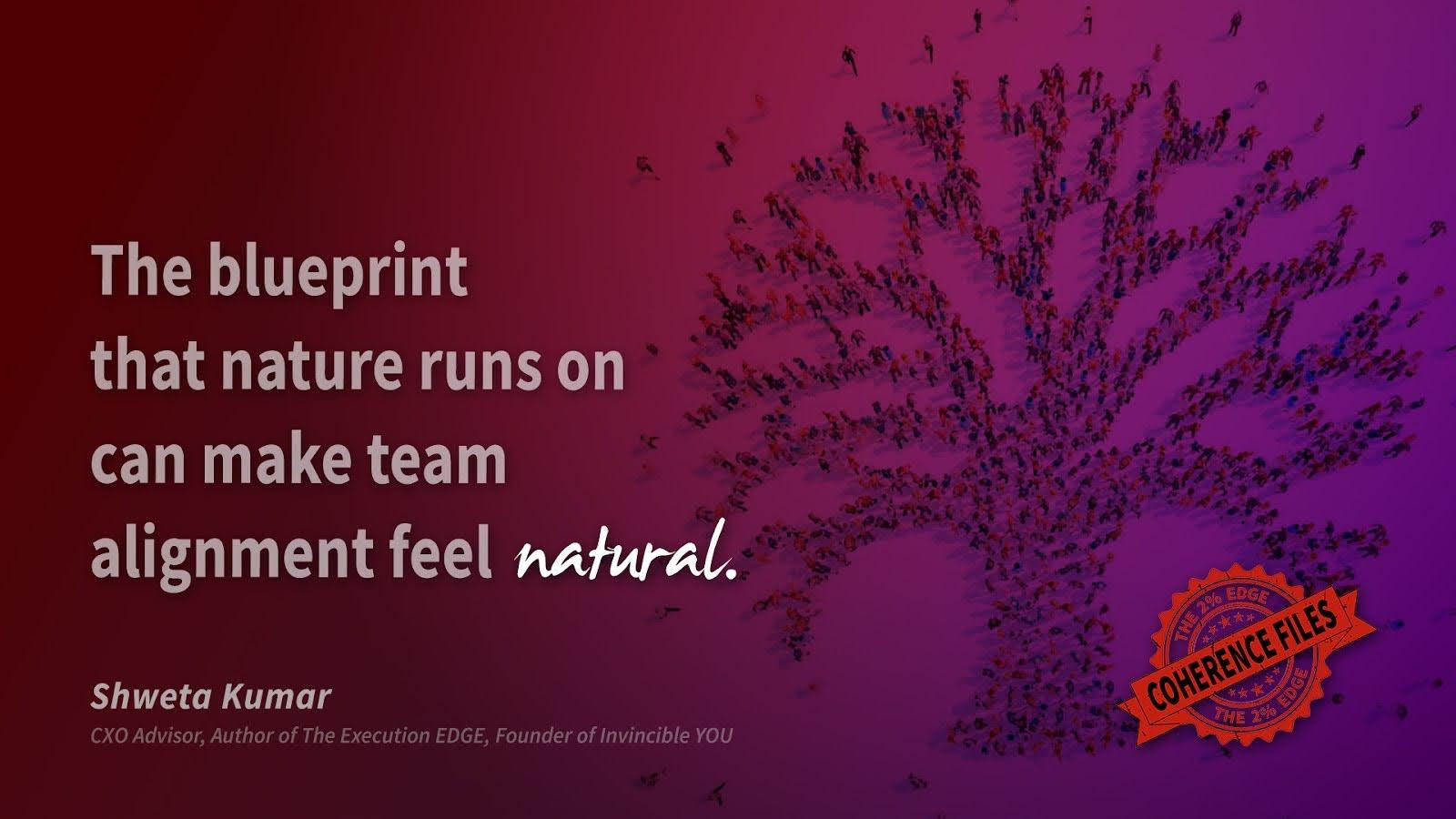 The Nature Principle:  Why organizations should behave more like forests